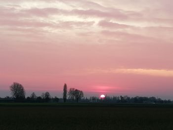 Silhouette trees on field against sky during sunset