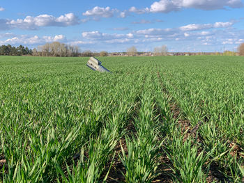 Chernihiv, ukraine 27.04.2022 - russian rocket fell on the field in chernihiv and did not explode