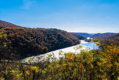 Scenic view of river amidst trees against sky