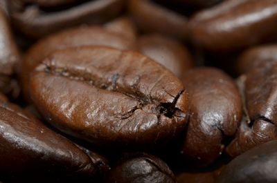 Close-up of crab for sale