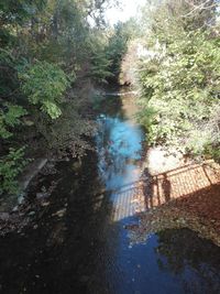 High angle view of river flowing amidst trees in forest