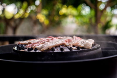 Close-up of meat on barbecue grill