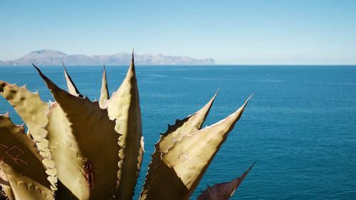 Scenic view of sea against clear sky