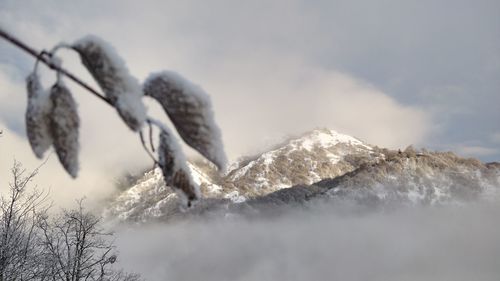 Close-up of snow on mountain against sky