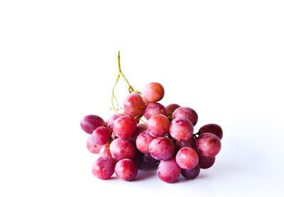 Close-up of grapes against white background