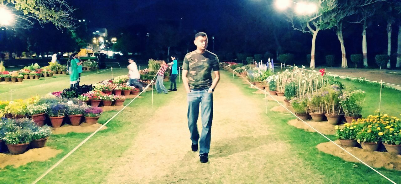 night, lifestyles, full length, illuminated, tree, leisure activity, person, casual clothing, men, the way forward, rear view, walking, standing, outdoors, footpath, grass, park - man made space, street