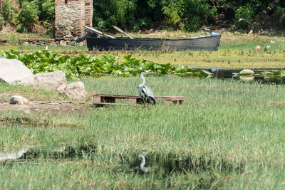 Man working in lake