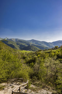 nature