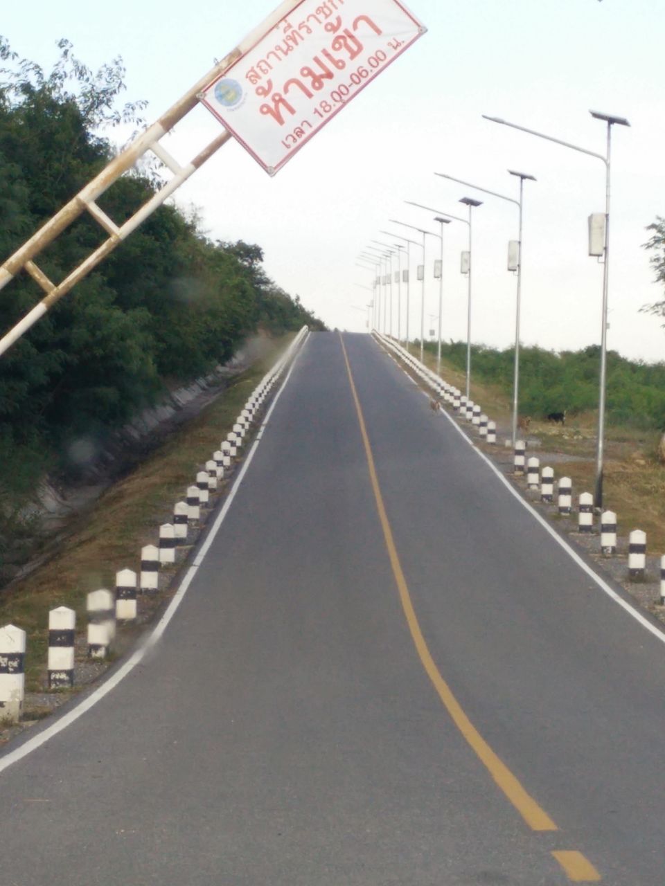 EMPTY ROAD ALONG TREES