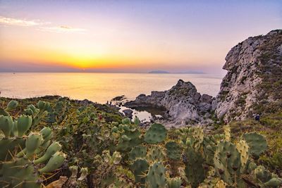 Scenic view of sea against sky during sunset