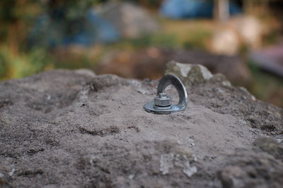soil