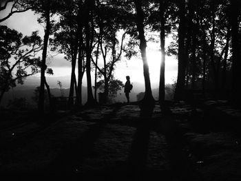 Silhouette of man walking in forest