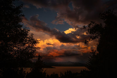 Silhouette trees against sky during sunset