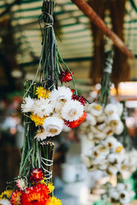 Close-up of flowers in vase