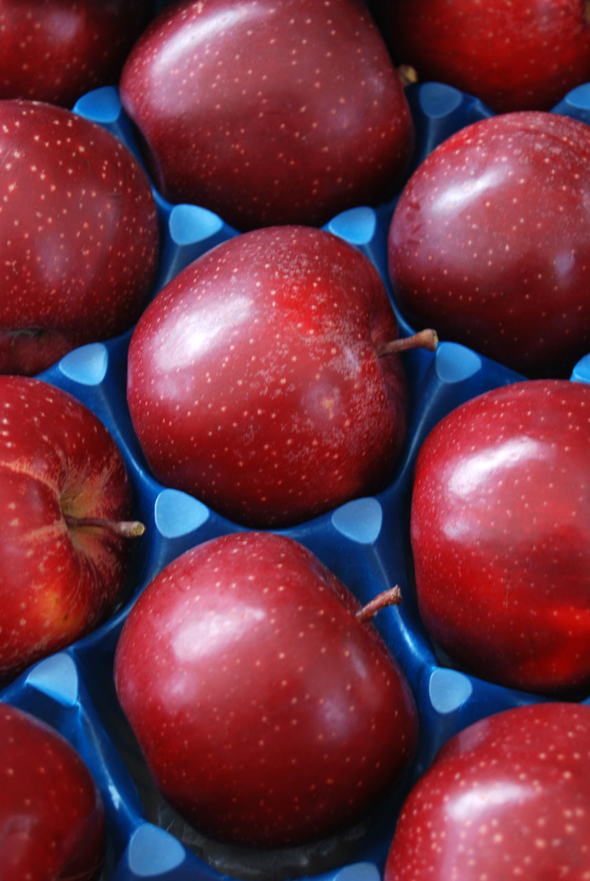 FULL FRAME SHOT OF FRESH STRAWBERRIES