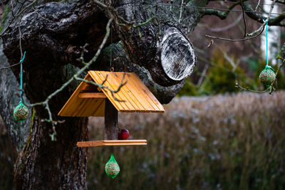 Birdhouse hanging on a tree