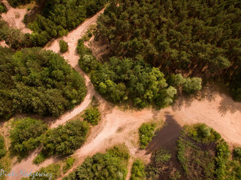 High angle view of winding road in forest