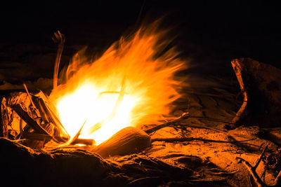 Close-up of bonfire on fire at night