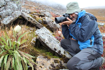 Photographer photographing saussurea obvallata