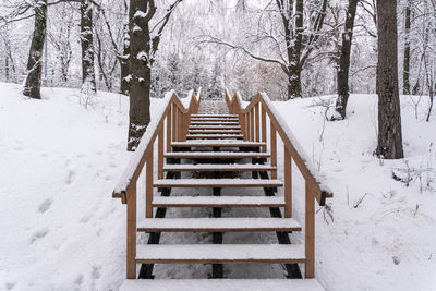 Snow covered staircase amidst trees during winter