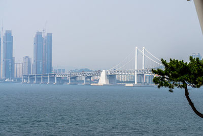 The gwangandaegyo or gwangan bridge is a suspension bridge on july 20, 2017 in busan, south korea. 