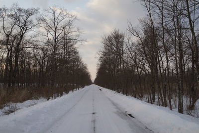 Road amidst bare trees against sky during winter