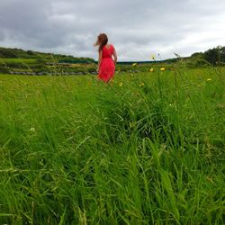 Rear view of man standing on grassy field