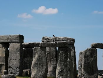 Low angle view of birds on rock against sky