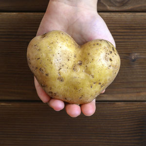 Close-up of hand holding apple