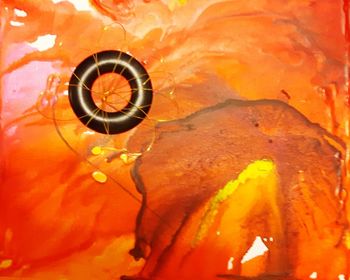 Close-up of red rose