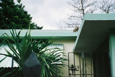 Built structure with trees in background