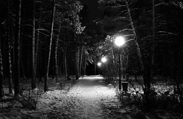 the way forward, night, tree, illuminated, snow, winter, diminishing perspective, street light, cold temperature, street, bare tree, vanishing point, season, nature, tranquility, road, weather, lighting equipment, outdoors, forest