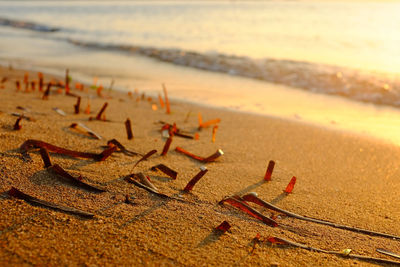 Surface level of sand on beach against sky