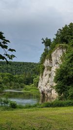 Scenic view of lake and trees against sky