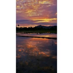 Reflection of clouds in water at sunset