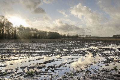 Muddy fields with puddles reflecting a dramatic sky