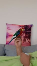 Cropped image of hand holding multi colored bird at home