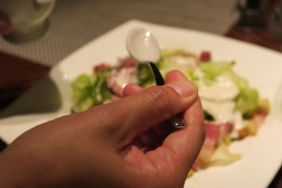 Close-up of hand holding sarad in plate