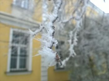 Close-up of frozen ice