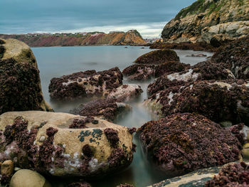 Scenic view of rocks on beach against sky