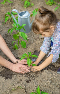 High angle view of woman holding plant