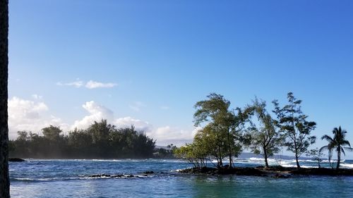 Scenic view of sea and trees against blue sky