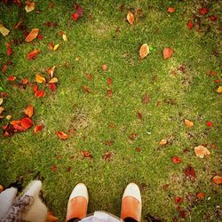 Low section of person standing on grassy field