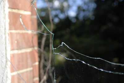 Close-up of broken glass window