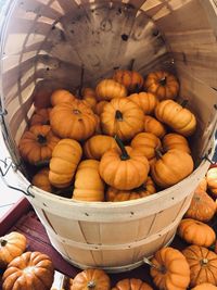 High angle view of pumpkins in basket