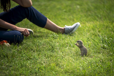 Man feeding on field