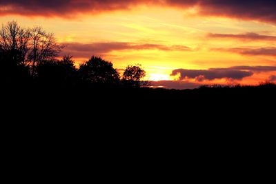 Silhouette trees against sky at sunset