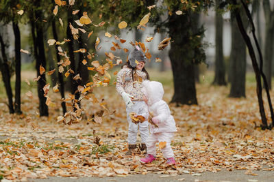 Full frame shot of autumn leaves on tree