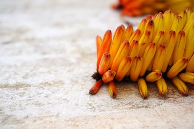 Close-up of yellow flowers against blurred background