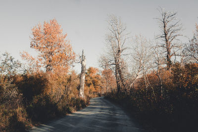 Footpath amidst trees against clear sky during autumn